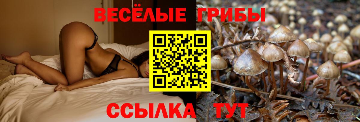 Галлюциногенные грибы мицелий  Вход с VPN  хочу   Избербаш 